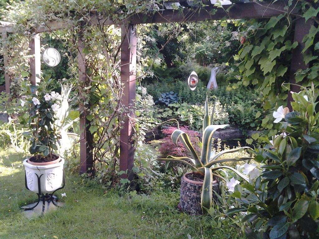 Gartenhaus Steffie Potsdam Buitenkant foto