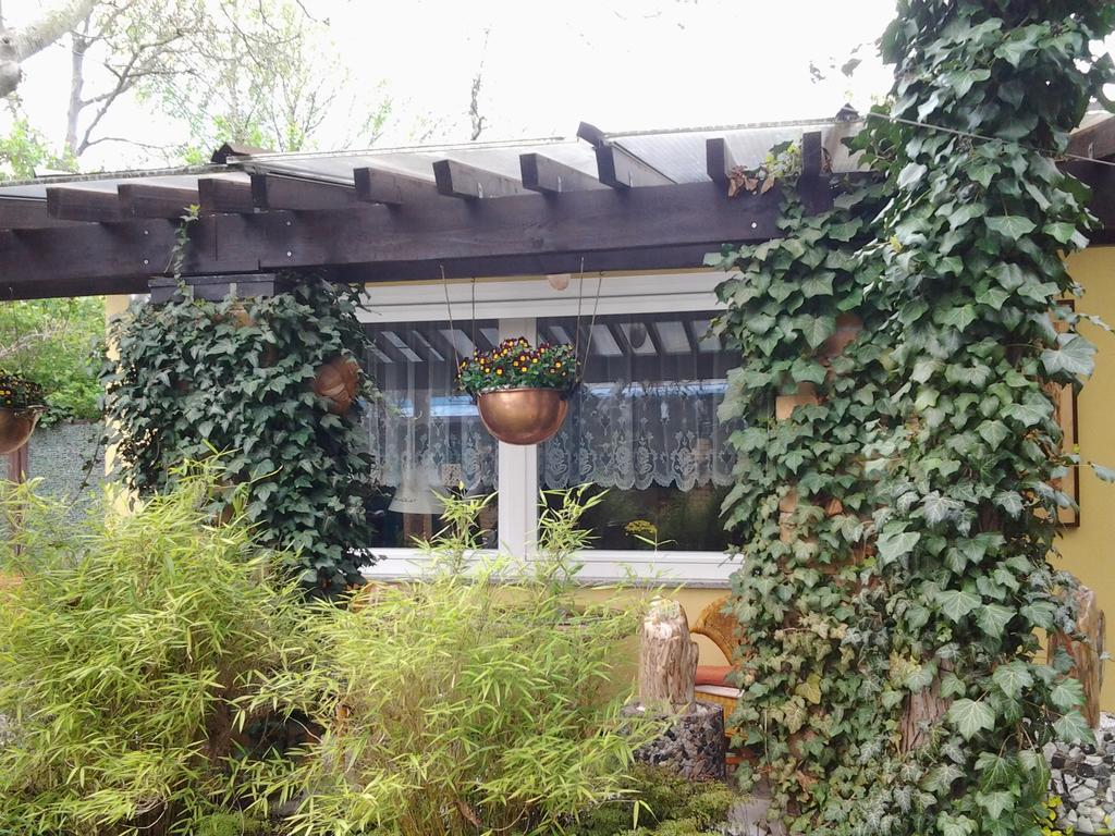 Gartenhaus Steffie Potsdam Buitenkant foto